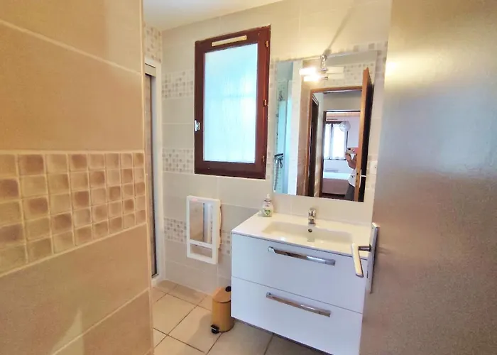 펜션 Le Chant De La Pique, Maison T4, Jardin, Parking Gratuit, Wifi, 6 Personnes *